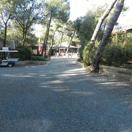 Camping Casa Di Caccia Marina Di Bibbona Luaran gambar