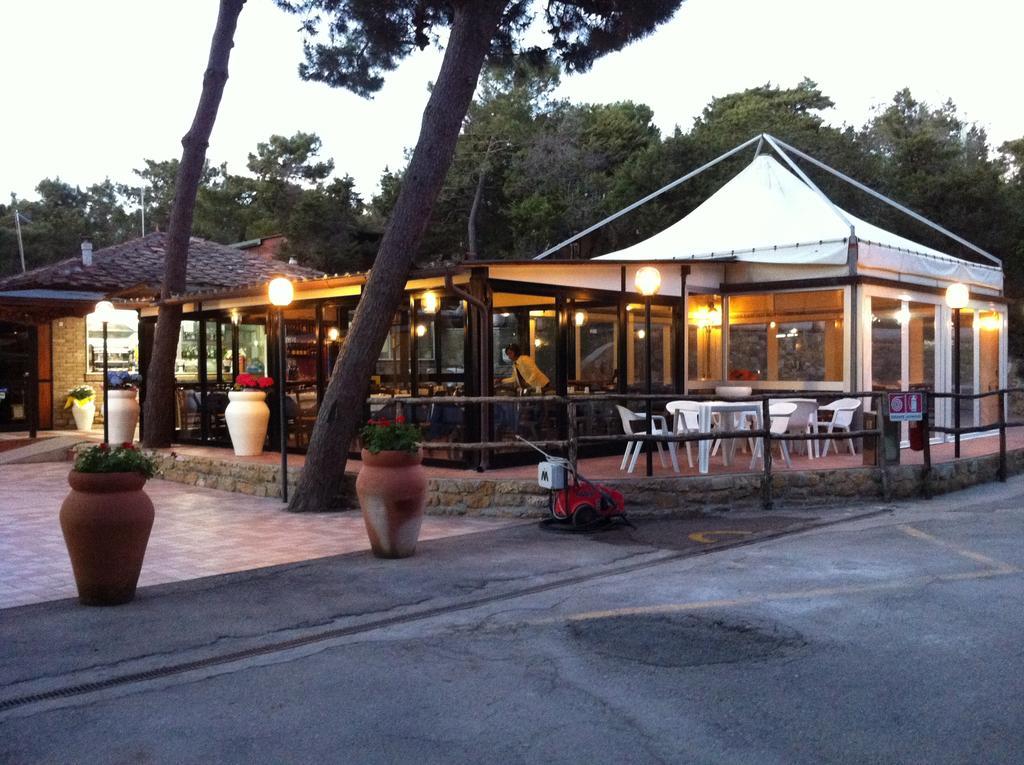Camping Casa Di Caccia Marina Di Bibbona Luaran gambar