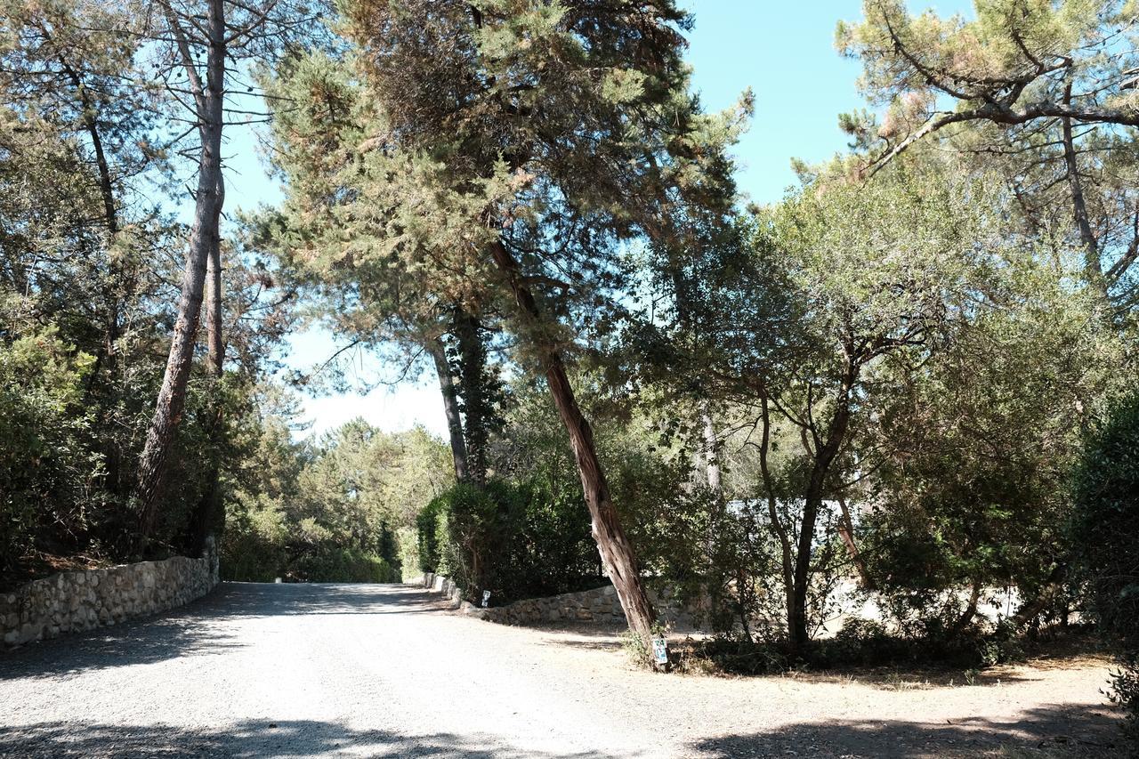 Camping Casa Di Caccia Marina Di Bibbona Luaran gambar